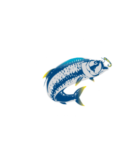 Block-Identity-Logo(IslandGuideService)