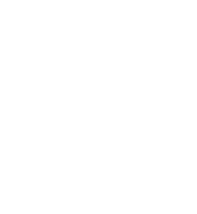 Block-Identity-Logo(Pioneer)