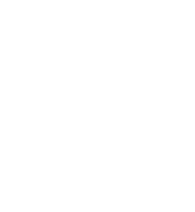 Block-Identity-Logo(SHO)