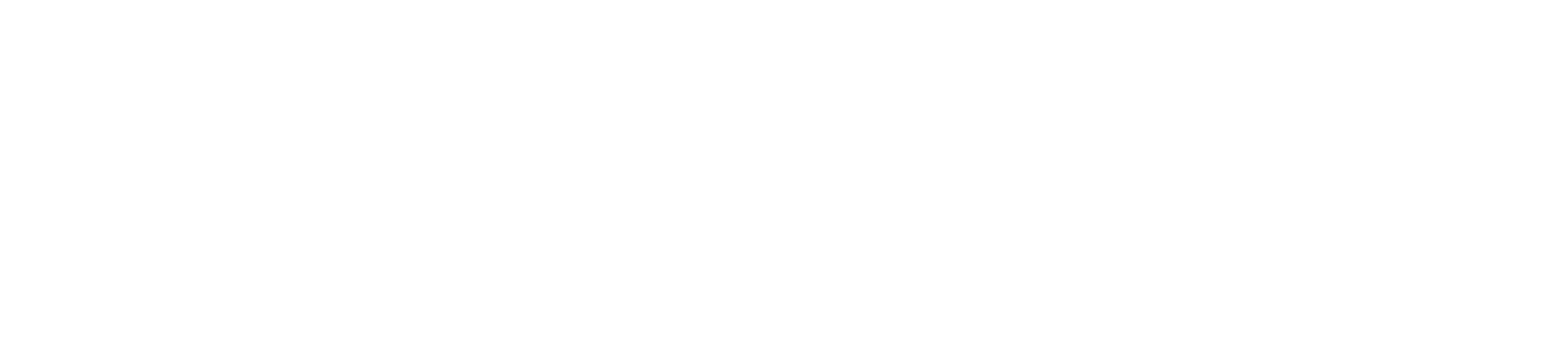 Notebank Case Study: Central Bank - Nelson & Co